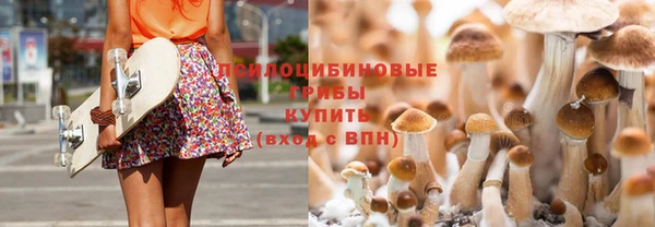 твердый Кукмор