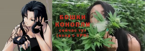 ПСИЛОЦИБИНОВЫЕ ГРИБЫ Ладушкин