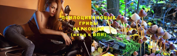 твердый Кукмор