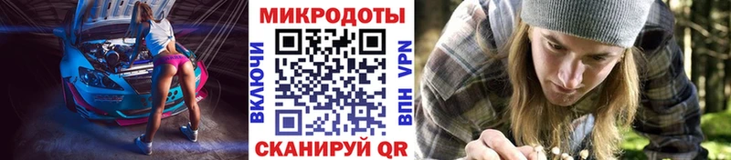 Купить закладки  Брянск  Псилоцибиновые грибы GOLDEN TEACHER 
